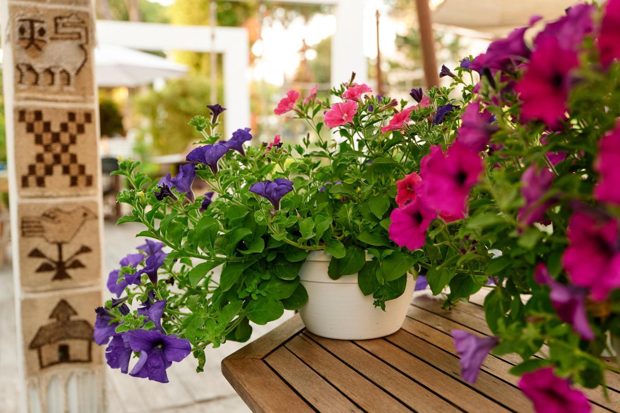 Hotel Saraceno Resort With Private Beach Milano Marittima Buitenkant foto